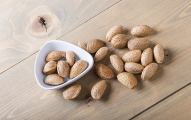 Almonds in white shell on wooden table