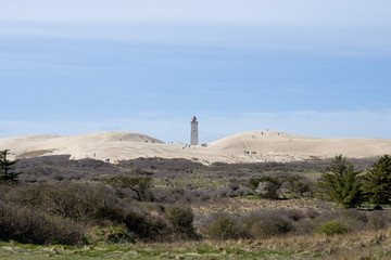 Fototapeta na wymiar Lighthouse between dunes in denmark
