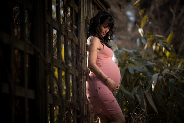 Maternity Photoshoot w Pet Dog