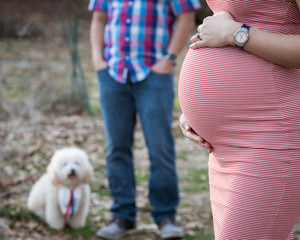 Maternity Photoshoot w Pet Dog