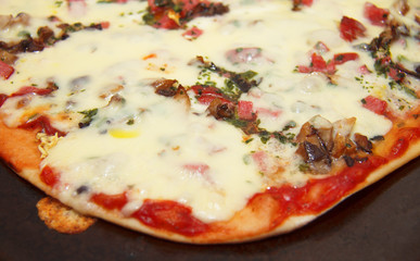 Pizza with mozzarella, fried mushrooms, sausage and parsley