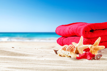 shell on sand and free space 