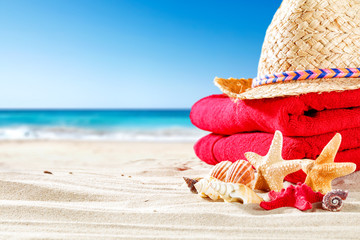 shell on sand and free space 