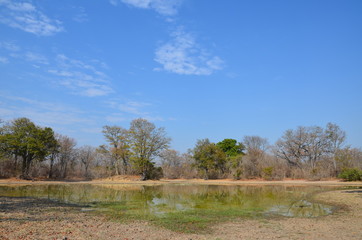 The African landscape. Zambia