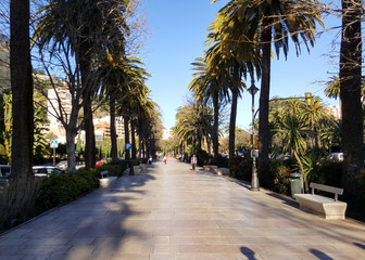 Palm trees with a walkway, beautiful sumer day in Malaga, Spain