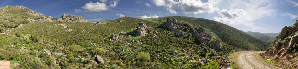 Fototapeta na wymiar Sardegna, Villasalto, oasi naturale di Monte Genis