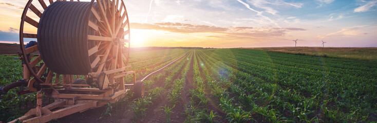 Bewässerungssystem in der Landwirtschaft