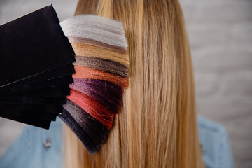 Palette set of hair colors on background of head and blonde hair. Concept staining and hair...
