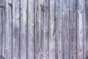 nature wood background