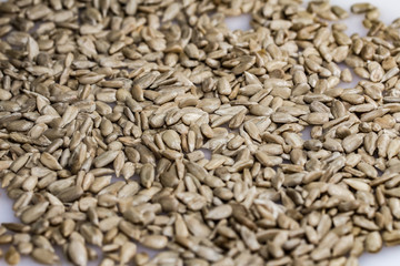 семена солнца