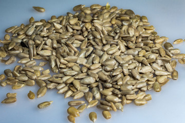 семеня подслнуха