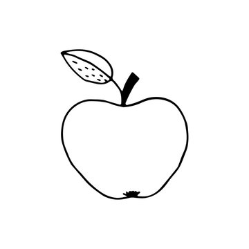 Linear cartoon hand drawn apple. Cute vector black and white doodle apple. Isolated monochrome apple silhouette on white background.