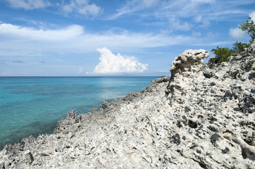 Caribbean Island Eroded Coastline