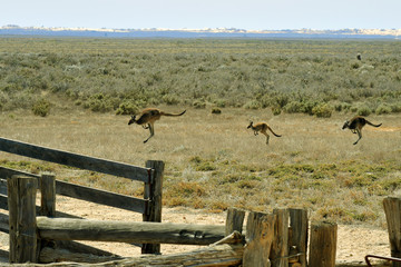 Australia, Mungo National Park