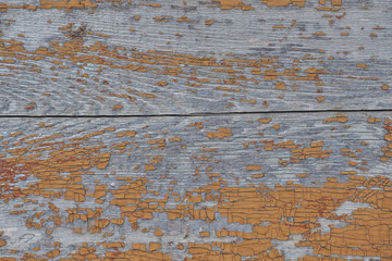 texture old the painted wooden board