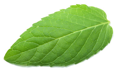 Obraz premium Fresh raw green mint leaf isolated on white background