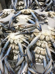 Frozen fresh crab with shredded ice at the market.