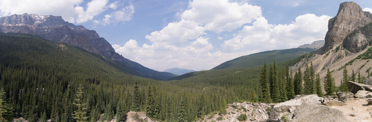 Fototapeta na wymiar Forest panoramic view in Rocky Mountains Canada