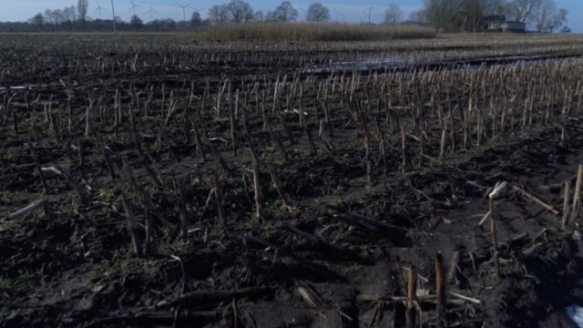 Luftaufnahme vom Maisfeld nach einer Regenzeit