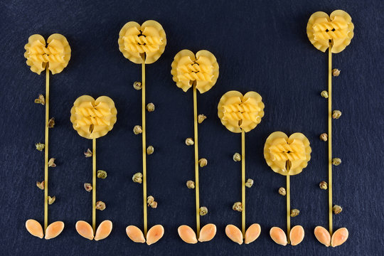Top view flowers made out of various pasta on the dark slate background.