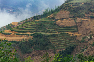 Step ladder planted on the hill with fog in the background in summer in Sa Pa, Vietnam.