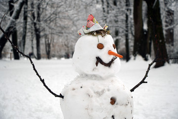 Snow man in the park