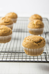 Homemade Whole Wheat Bran Muffin on Black Metal Cooling Rack. Breakfast Morning Healthy Pastry Baking Concept. Minimalist Style Copy Space for Text Close Up
