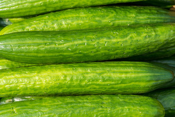 Cucumber Pattern
