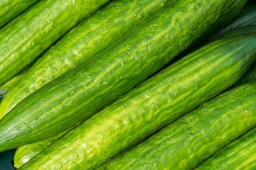 Cucumber Pattern