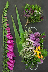 Herb and flower selection used in natural alternative herbal medicine on slate background. Top view.