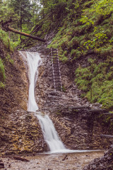 Obraz premium Wodospad na rzece płynącej przez Słowacki Raj. Trasa turystyczna ze stalowymi drabinami nad wodospadem. Malowniczy wąwóz w górskim lesie.