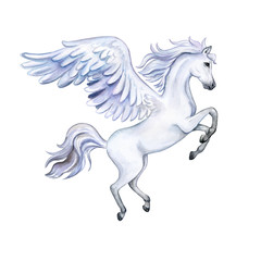 Obraz na płótnie Canvas Pegasus with wings isolated on white background. Нippo. Watercolor. Illustration. Template Clip art.