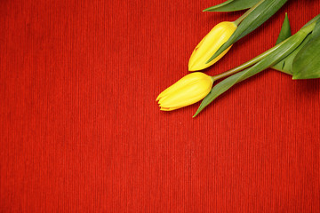 the inscription on March 8 with flowers on a red background