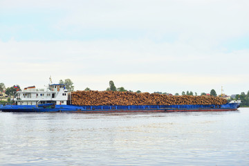 Fototapeta na wymiar Cargo ship on the Neva river.