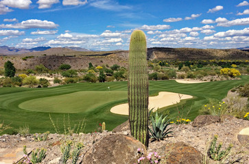 Golf course with undulating greens surrounded by sand traps and cactus in Wickenburg, Arizona