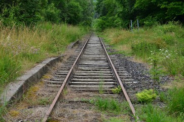 Fototapeta premium Right in nothing