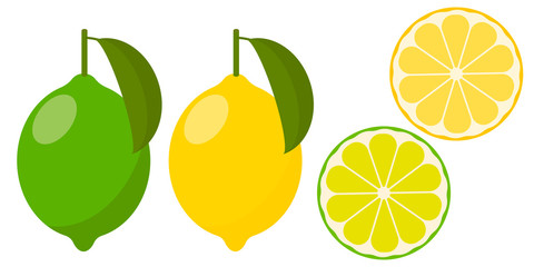 Icon lemon and lime, vector.