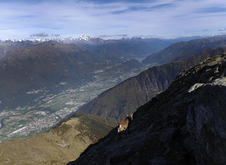 Sul filo della luce