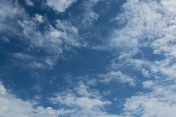 Blue sky with a cloud close-up. Background.