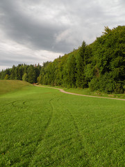 green trees and bushes might, which glow in the Sun. Soft grass on meadows and a small path that winds between the forest and meadow