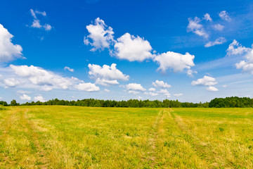 Fototapeta na wymiar Sky, clouds and field. Belarus, Minsk region. Colorful landscape