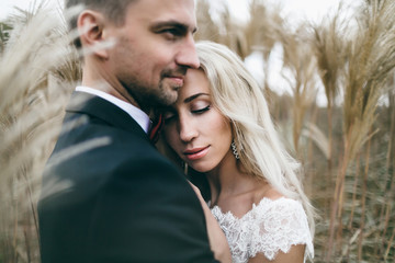 Close-up portrait of Newlyweds in love in nature. Wedding