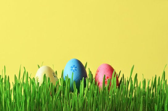 Painted Easter eggs in a green grass on a meadow.