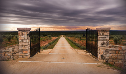 Der Weg der Oliven