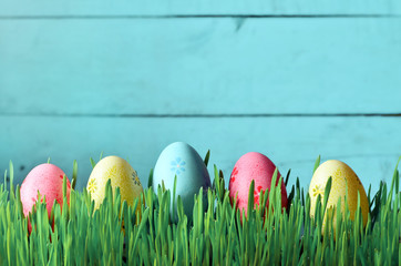 Painted Easter eggs in a green grass on a meadow.