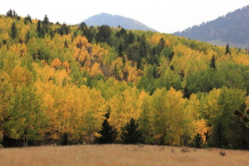 entlang der Phantom Canyon Road Colorado USA