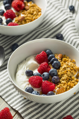 Healthy Organic Greek Yogurt with Granola and Berries