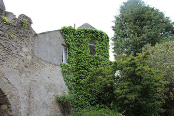 castello con foglie