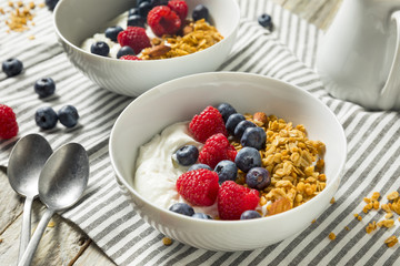 Healthy Organic Greek Yogurt with Granola and Berries