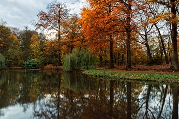 Fototapeta na wymiar Autumn in the park